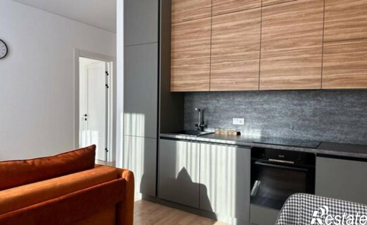 1-комн квартира Петропавловская улица, 52,  д. 52