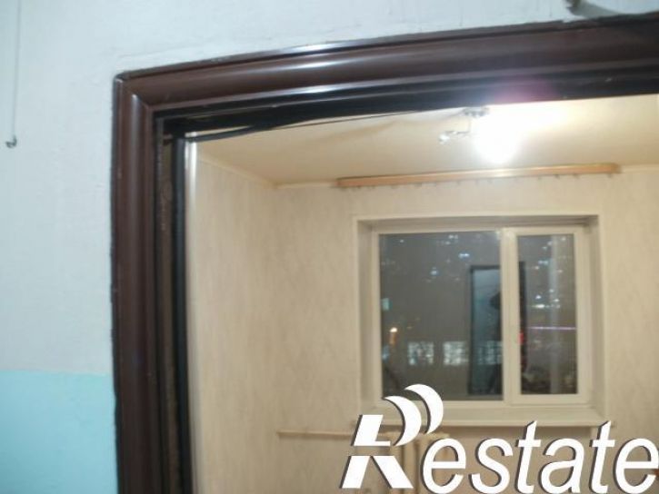 1-комн квартира рабоче-крестьянская, 17