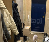 5-комн, 113кв м, этаж 5/16 ул Толмачева, 17