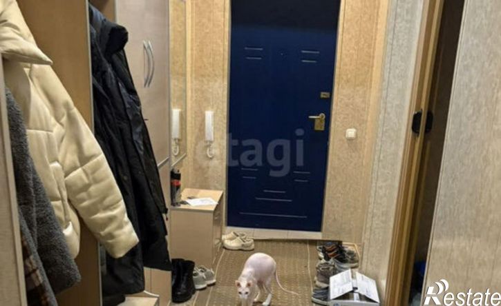 5-комн квартира ул Толмачева, 17,  д. 17