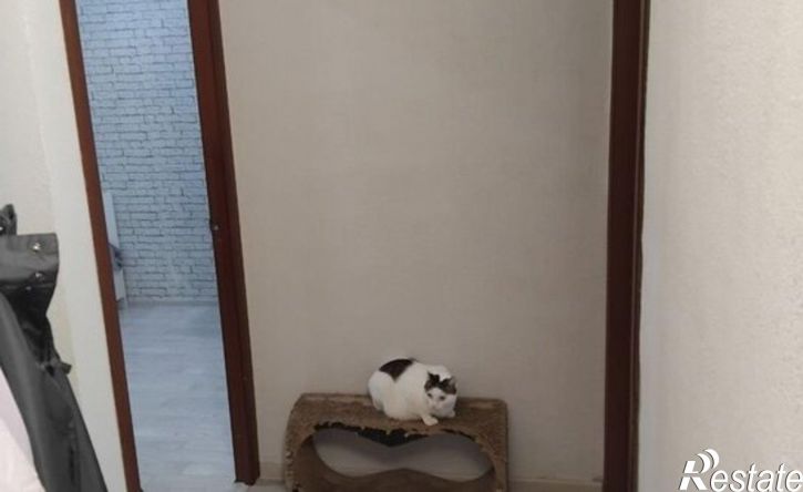 2-комн квартира Пушкарская улица, 73,  д. 73