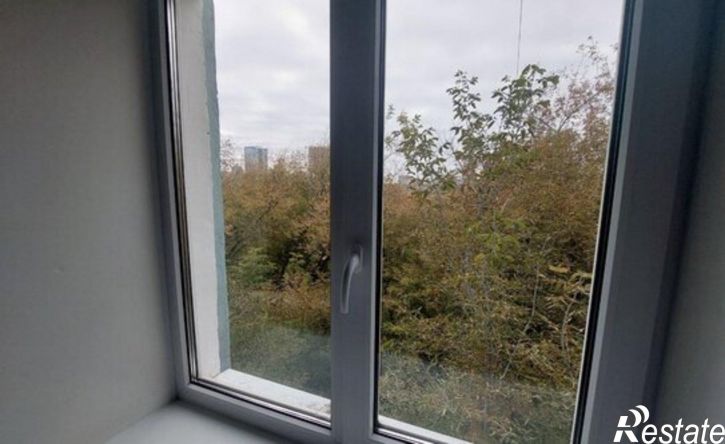 1-комн квартира улица Пушкина, 116А,  д. 116А