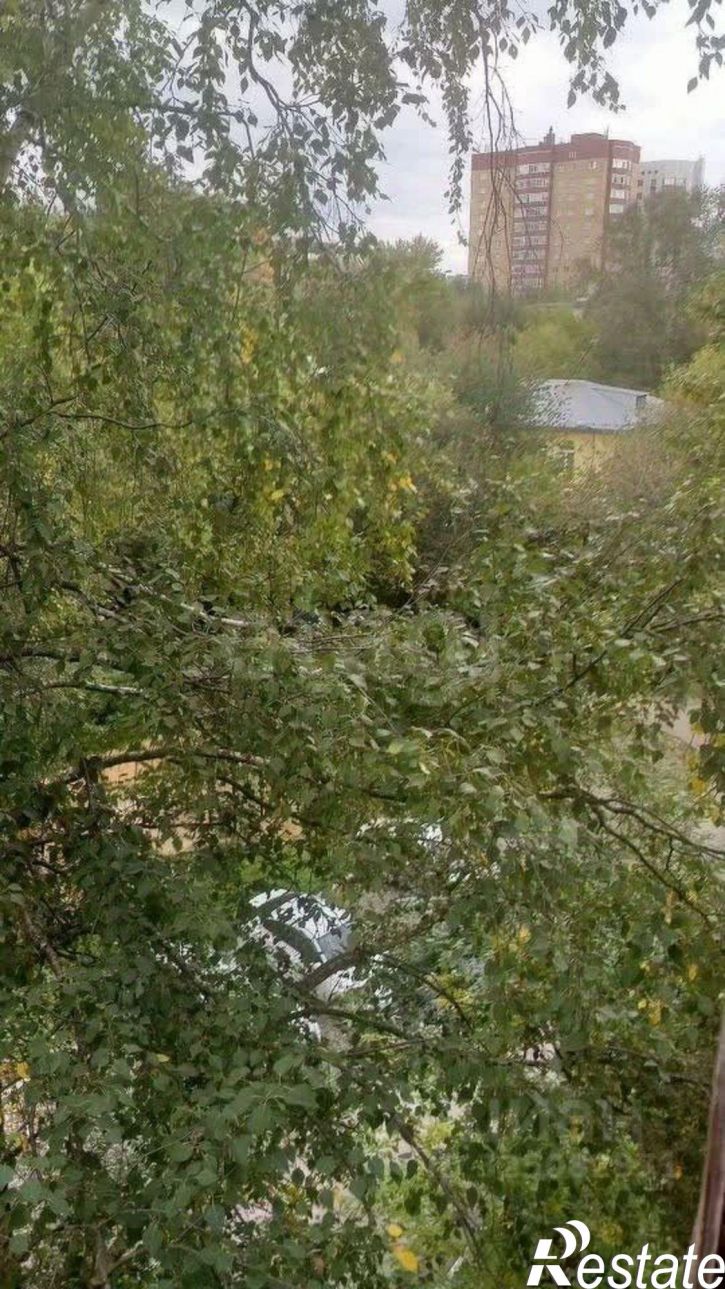 Комната улица Блюхера, 7,  д. 7