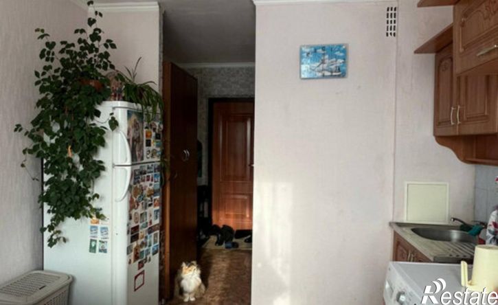 1-комн квартира улица Карпинского, 87,  д. 87