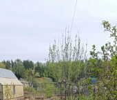 коттедж 20 кв м Липатова ул, 34/80