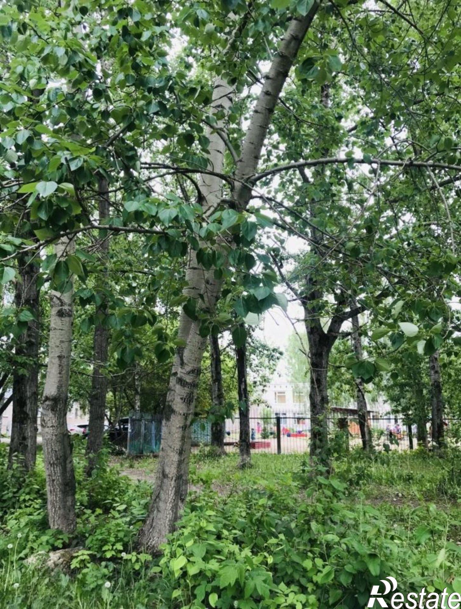 Сдать комнату за 9 500 рублей на ул Балхашская, 201
