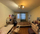 комната 24 кв м Пушкарская улица, 75