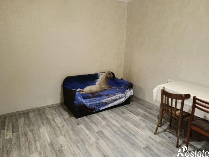 1-комн квартира ул Николая Быстрых, 15,  д. 15