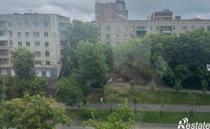 1-комн квартира улица Крисанова, 10,  д. 10