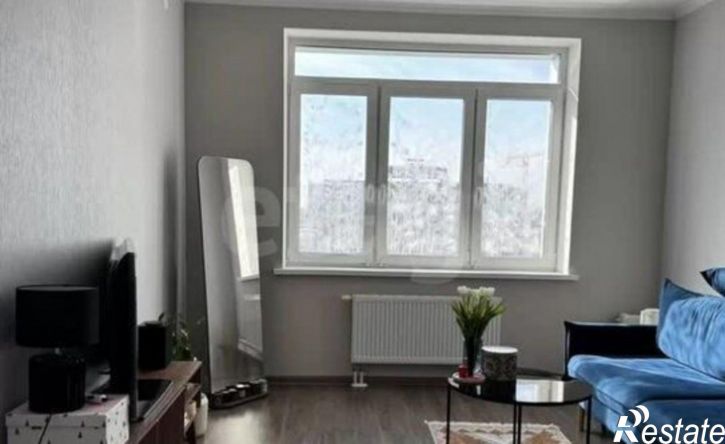 1-комн квартира ул Чернышевского, 20,  д. 20
