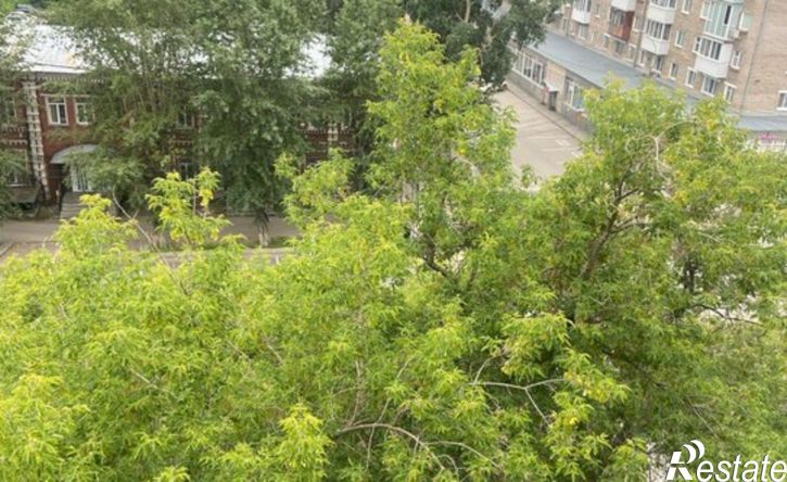 2-комн квартира ул Петропавловская, 111,  д. 111