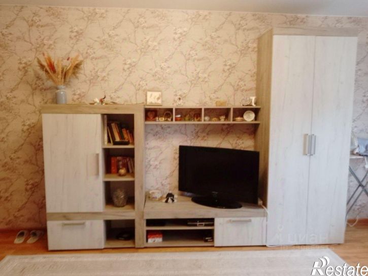 1-комн квартира ул 1-я Красноармейская, 44а,  д. 44а