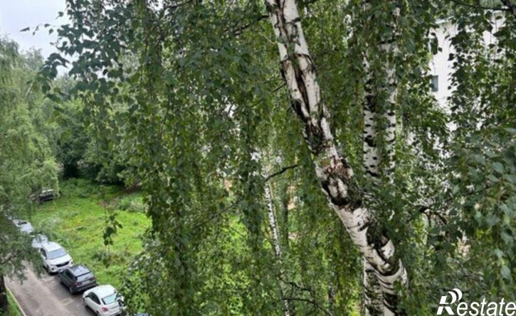 3-комн квартира ул Народовольческая, 36,  д. 36