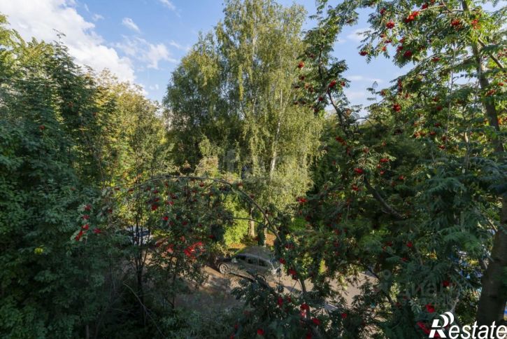 1-комн квартира ул Чернышевского, 23,  д. 23