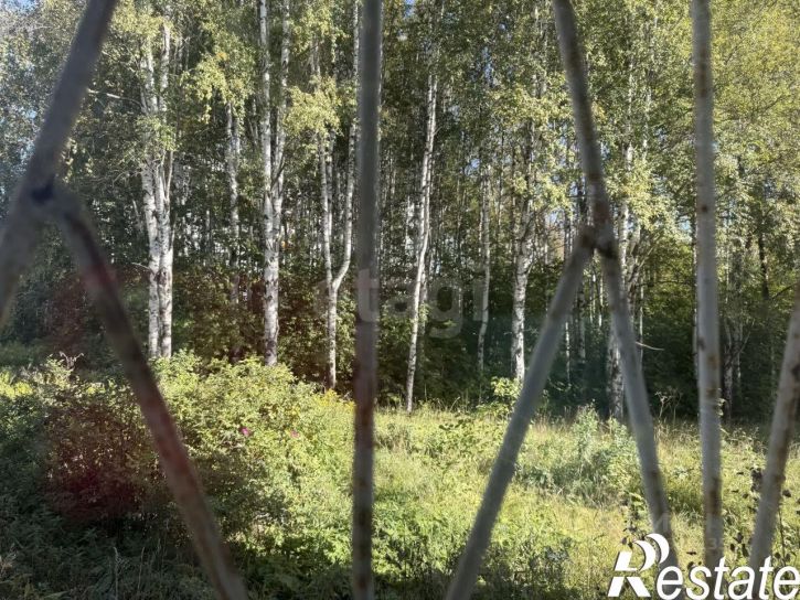 2-комн квартира Белозёрская улица, 16,  д. 16