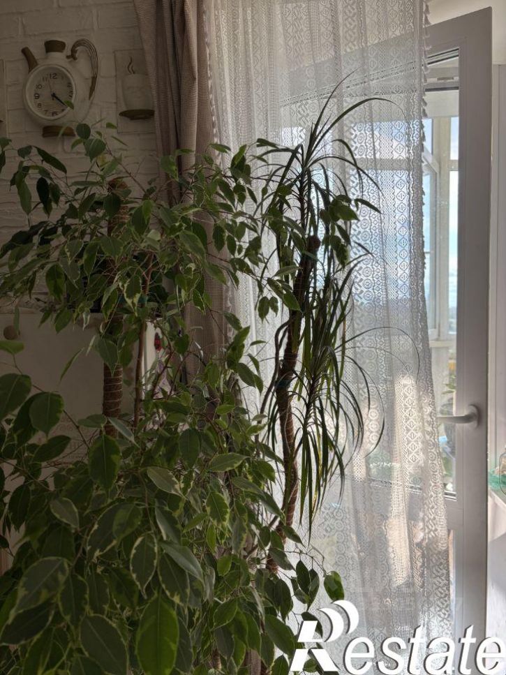 2-комн квартира улица Юрша, 100,  д. 100