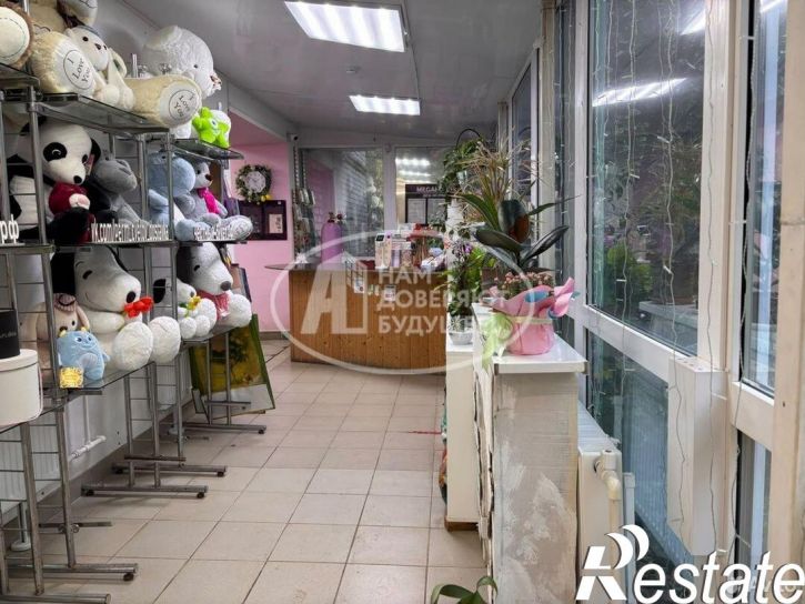 Торговое помещение улица Плеханова, 60,  д. 60