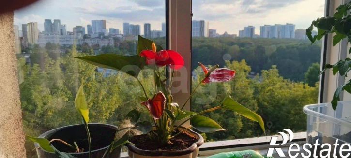 2-комн квартира бульвар Гагарина, 30Б,  д. 30Б