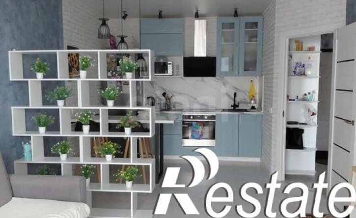 2-комн квартира улица Татьяны Барамзиной, 38,  д. 38