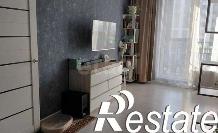 2-комн квартира улица Татьяны Барамзиной, 38,  д. 38