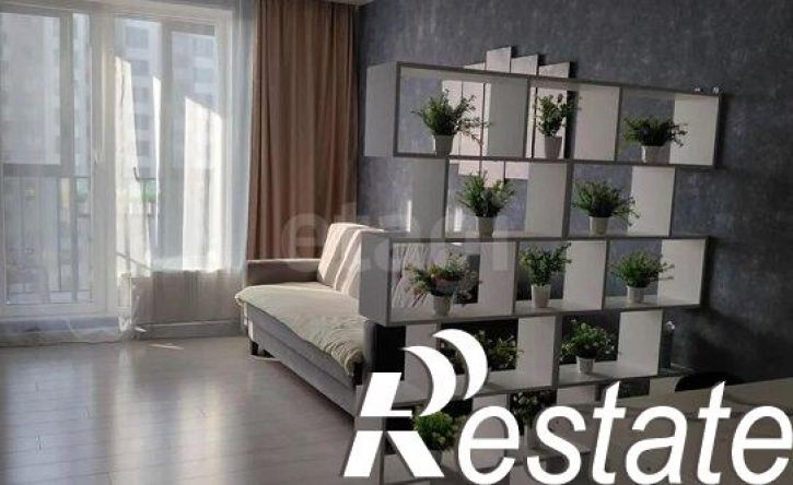 2-комн квартира улица Татьяны Барамзиной, 38,  д. 38